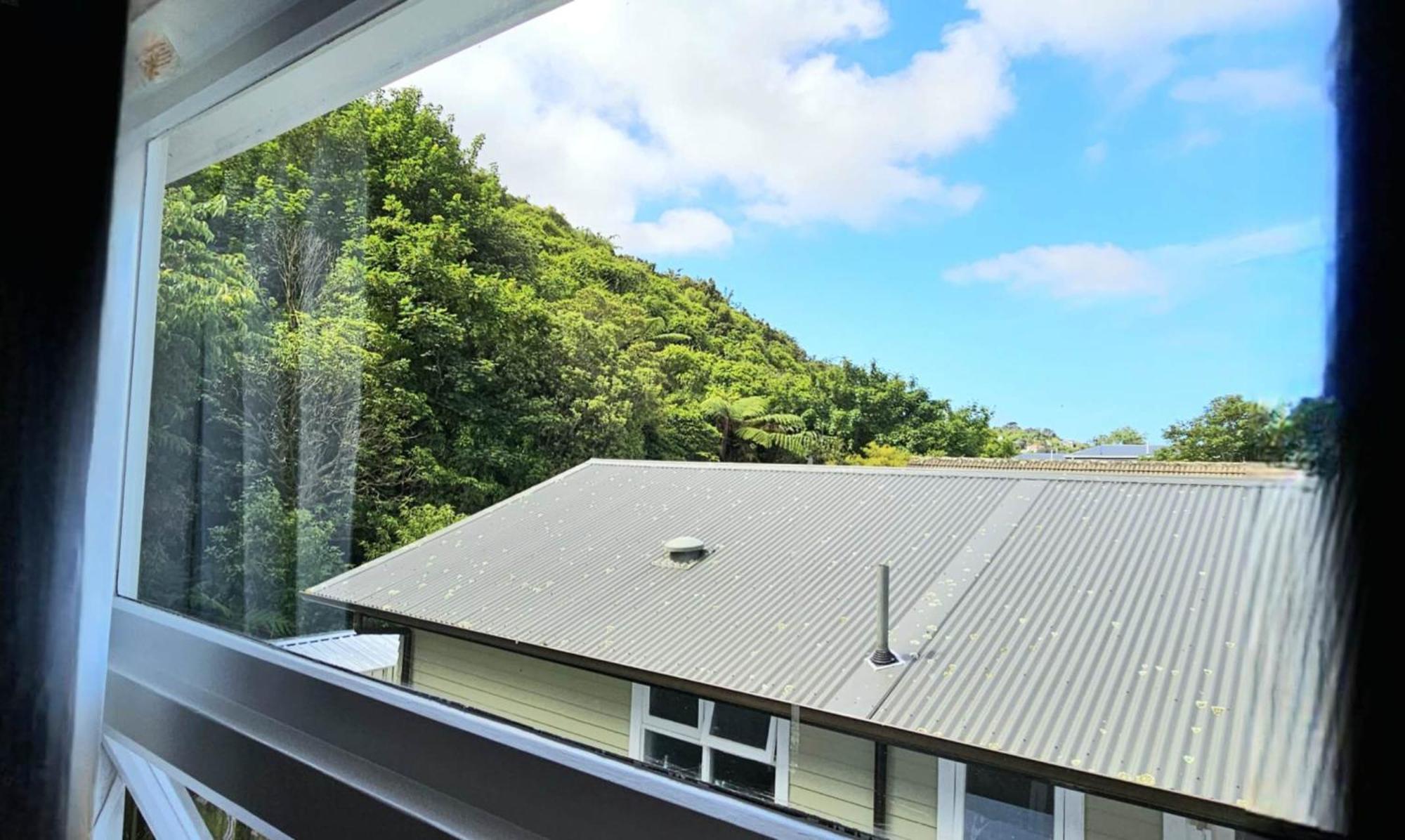ウェリントン Bridge & Birds Bed & Breakfast エクステリア 写真